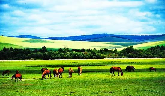 内蒙古草原之旅,探寻草原明珠的悠然之美