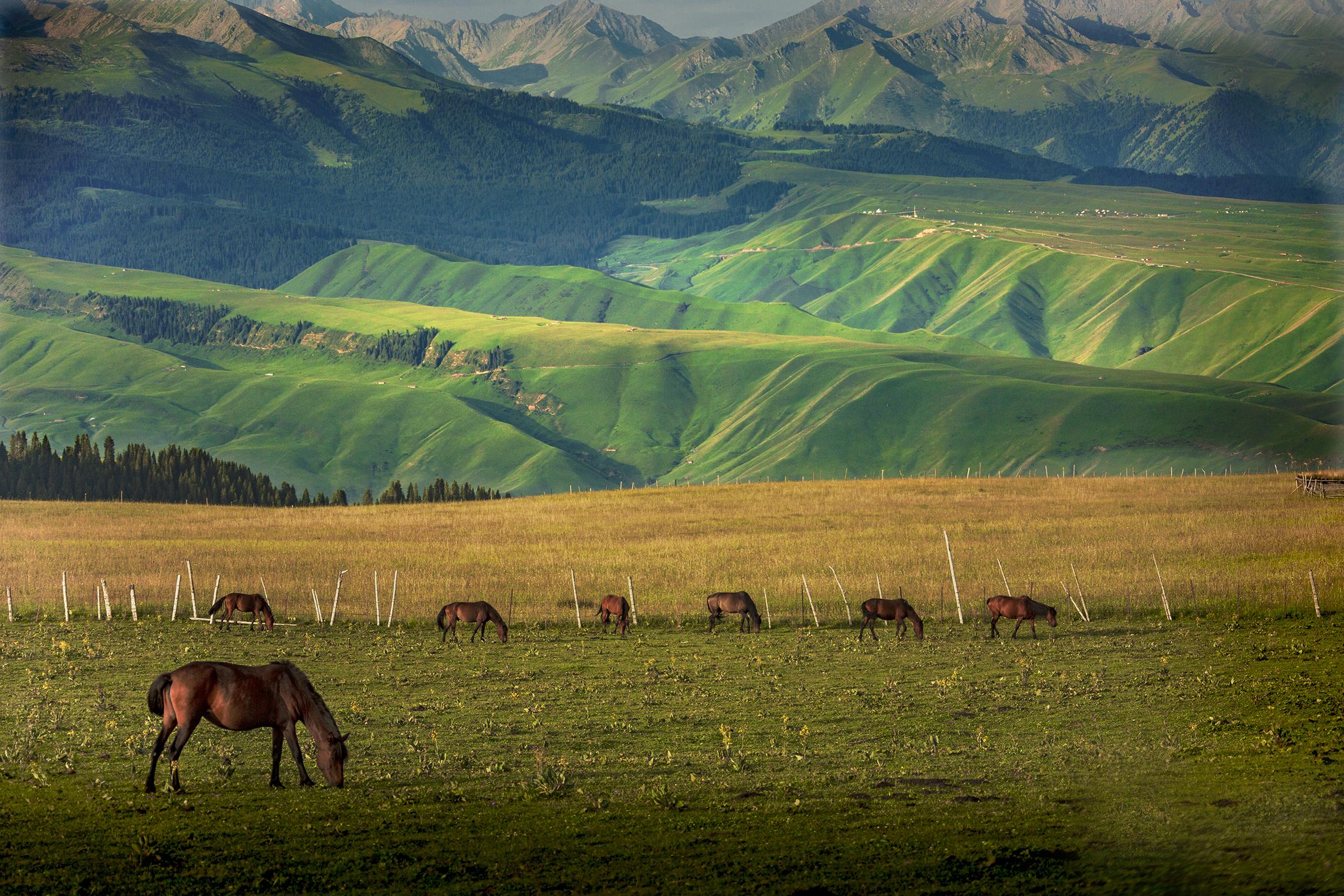 新疆，秘境之美与无限商机探索