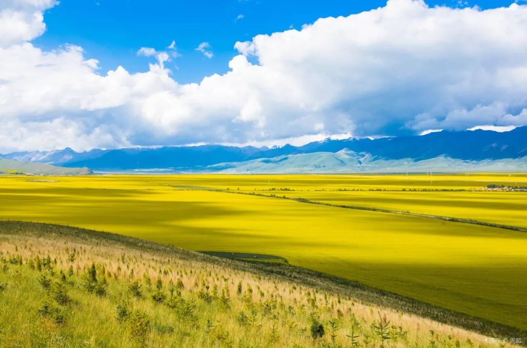 青海，探险者的天堂，大自然的瑰宝之地