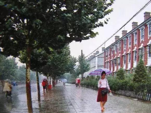 邯郸技能学习指南，从入门到精通的详细步骤指南