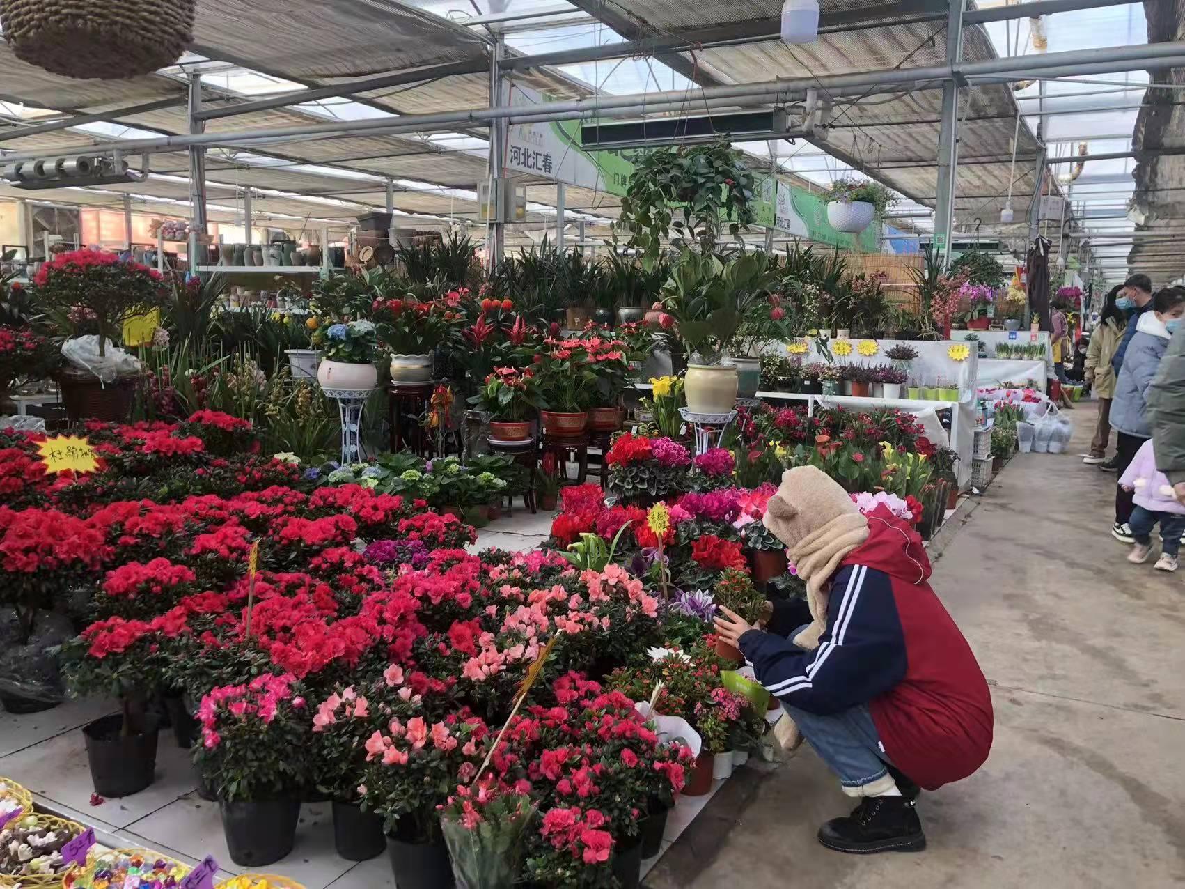 石家庄,邂逅自然的温柔之地